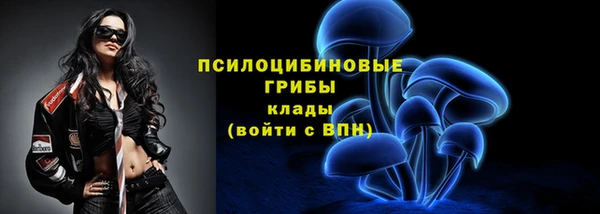 прущие крисы Алексеевка