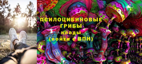 не бодяженный Алзамай