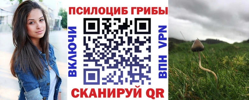 даркнет сайт  Гдов  гидра как зайти  Галлюциногенные грибы MAGIC MUSHROOMS 